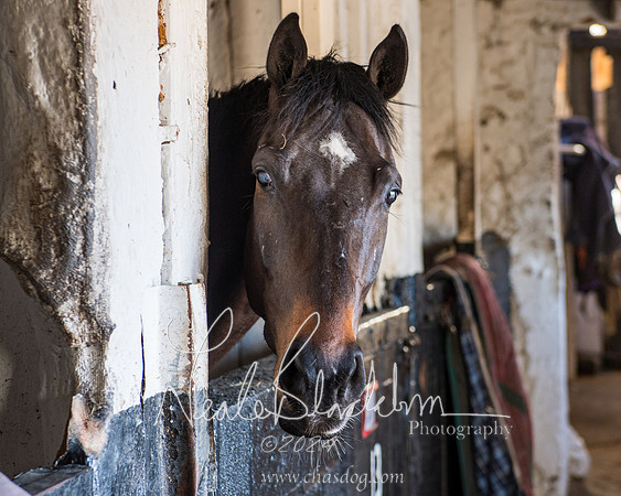 Legacy Group Racing Club (4 of 168)
