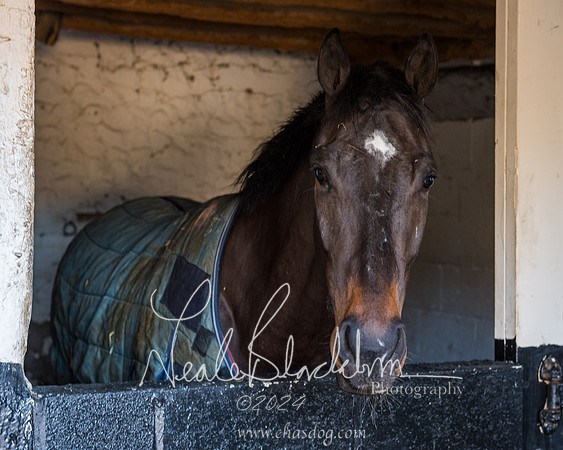 Legacy Group Racing Club (3 of 168)