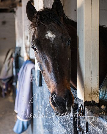 Legacy Group Racing Club (2 of 168)