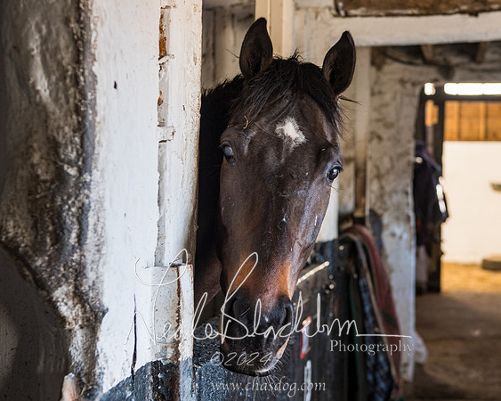Legacy Group Racing Club (5 of 168)