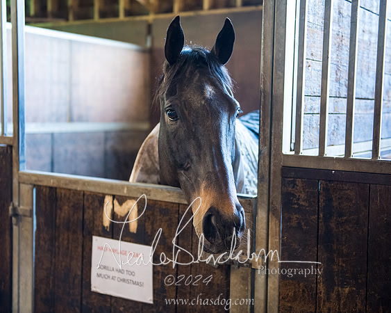 Legacy Group Racing Club (56 of 168)