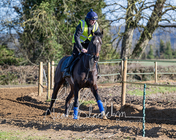 Legacy Group Racing Club (75 of 168)
