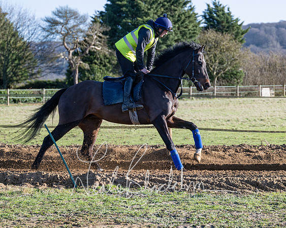 Legacy Group Racing Club (77 of 168)