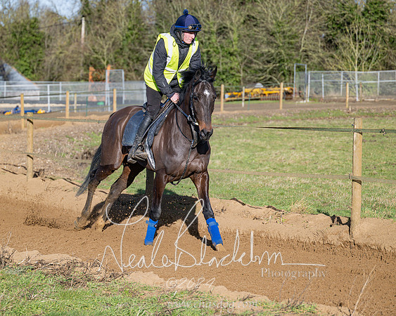 Legacy Group Racing Club (82 of 168)