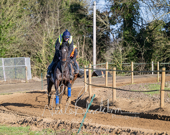 Legacy Group Racing Club (94 of 168)