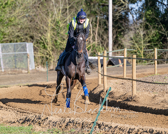 Legacy Group Racing Club (96 of 168)
