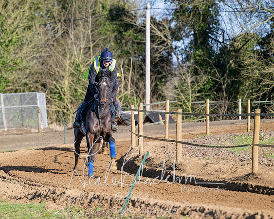 Legacy Group Racing Club (95 of 168)