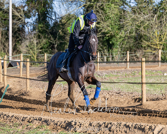 Legacy Group Racing Club (97 of 168)