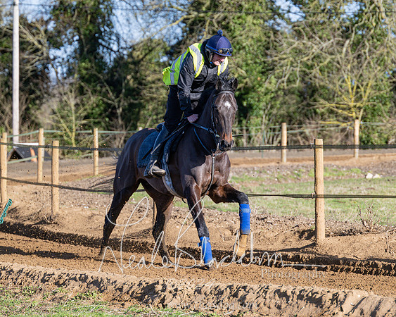 Legacy Group Racing Club (98 of 168)