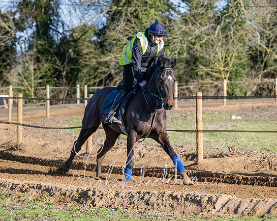 Legacy Group Racing Club (99 of 168)
