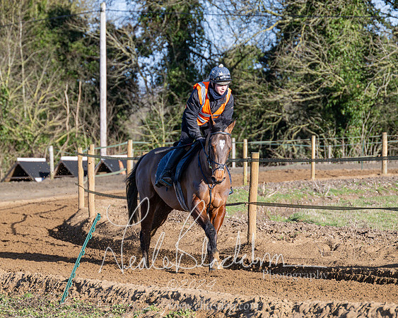 Legacy Group Racing Club (100 of 168)