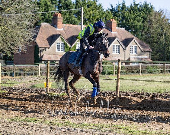 Legacy Group Racing Club (104 of 168)