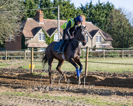 Legacy Group Racing Club (105 of 168)