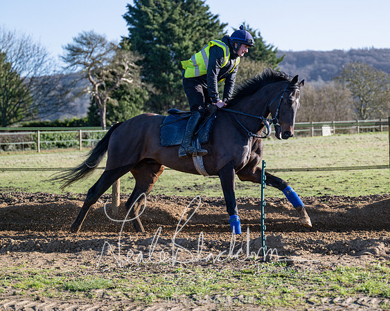 Legacy Group Racing Club (107 of 168)