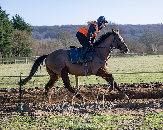 Legacy Group Racing Club (109 of 168)