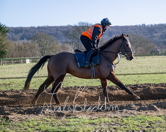 Legacy Group Racing Club (110 of 168)