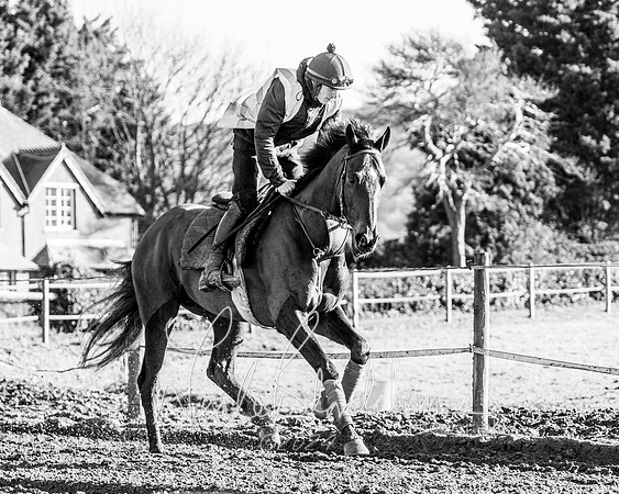Legacy Group Racing Club (119 of 168)-2