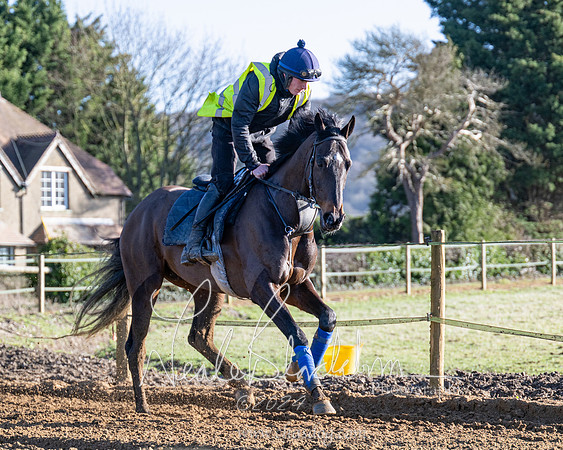 Legacy Group Racing Club (119 of 168)
