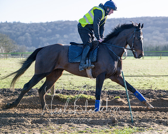 Legacy Group Racing Club (122 of 168)
