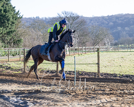 Legacy Group Racing Club (125 of 168)