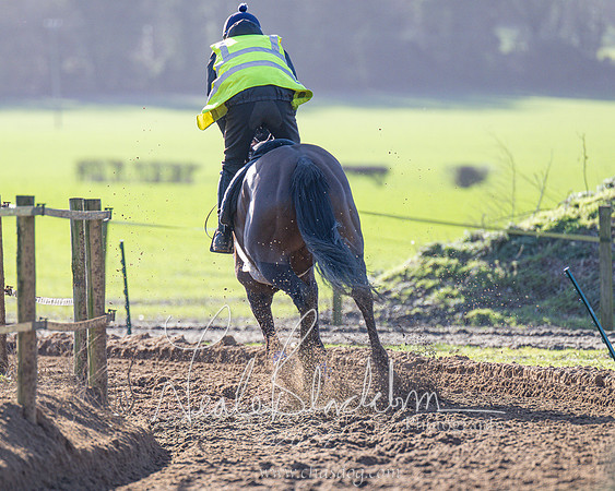 Legacy Group Racing Club (127 of 168)