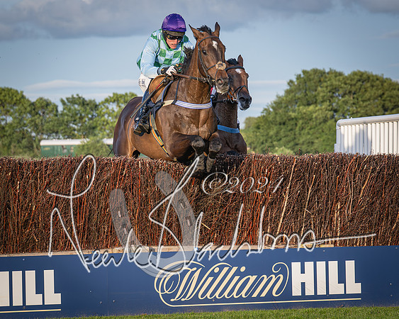 Race 5 - tipsterreviews.co.uk handicap (43 of 107)