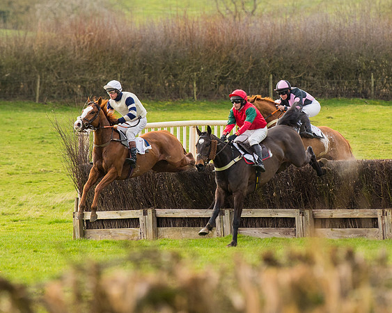 Race 3 - Restricted  (41 of 100)