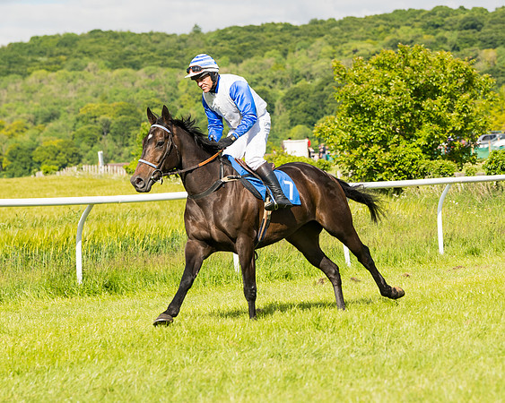 Race 5 - Restricted  (16 of 136)