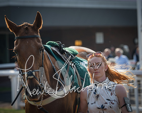Race 2 - The Venatour sports travel intermediate point to point hunters’ steeplechase 5 year olds and over 3m2f (11 of 163)