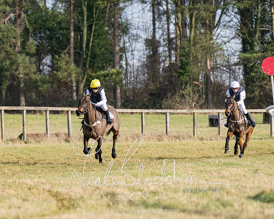 Pony Race 2 (2 of 31)