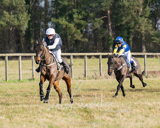 Pony Race 2 (10 of 31)