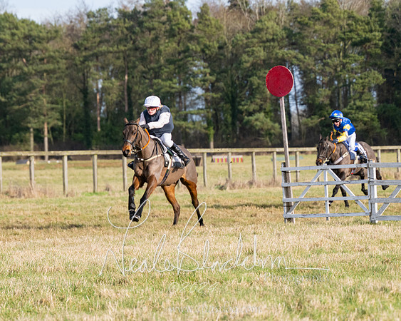 Pony Race 2 (14 of 31)
