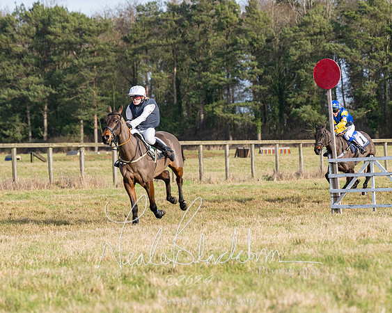 Pony Race 2 (15 of 31)