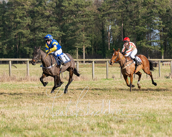 Pony Race 2 (17 of 31)