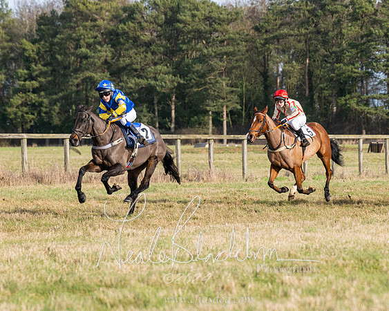 Pony Race 2 (18 of 31)