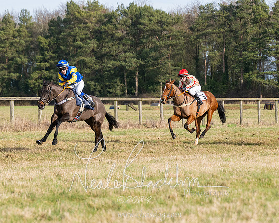 Pony Race 2 (19 of 31)