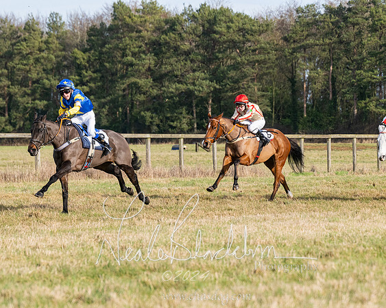 Pony Race 2 (20 of 31)
