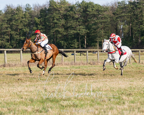 Pony Race 2 (21 of 31)