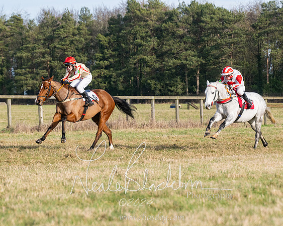 Pony Race 2 (22 of 31)