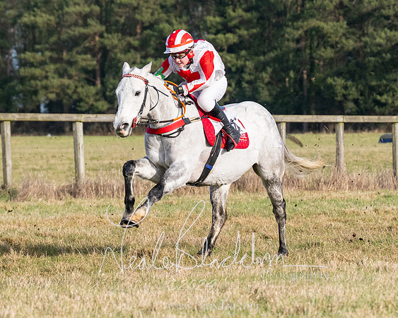 Pony Race 2 (24 of 31)