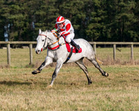 Pony Races