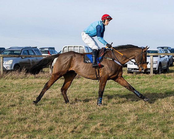 Race 1 - PPORA Novice Riders (3 of 123)