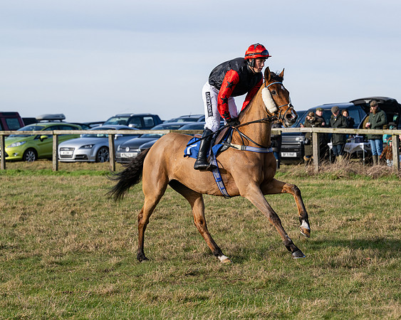 Race 1 - PPORA Novice Riders (4 of 123)