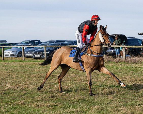 Race 1 - PPORA Novice Riders (5 of 123)