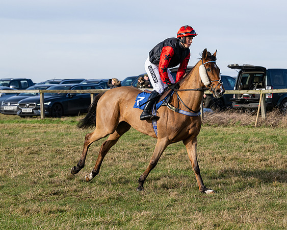 Race 1 - PPORA Novice Riders (6 of 123)