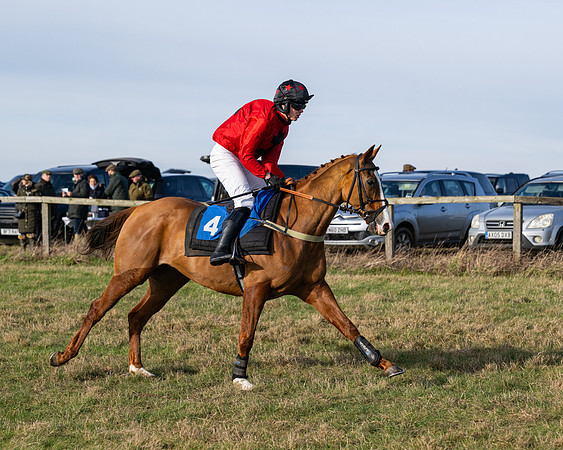 Race 1 - PPORA Novice Riders (23 of 123)