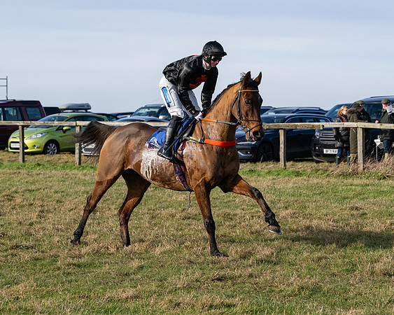 Race 1 - PPORA Novice Riders (27 of 123)