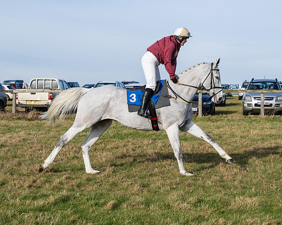 Race 1 - PPORA Novice Riders (31 of 123)