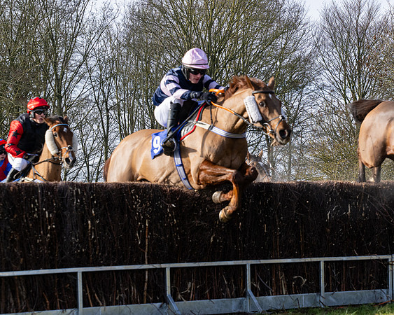 Race 1 - PPORA Novice Riders (56 of 123)