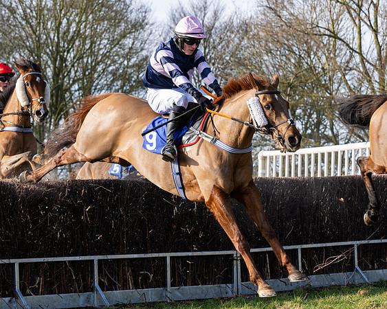 Race 1 - PPORA Novice Riders (58 of 123)